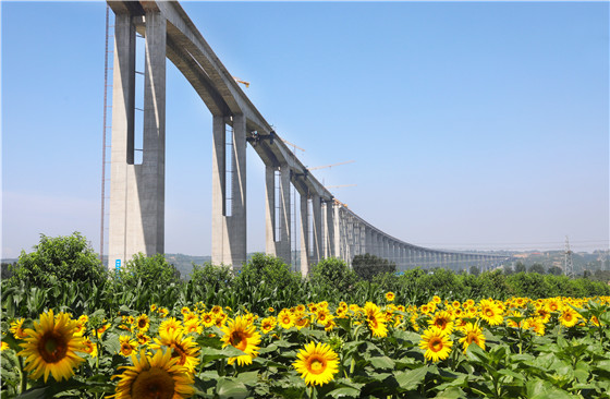 弘農(nóng)澗河特大橋